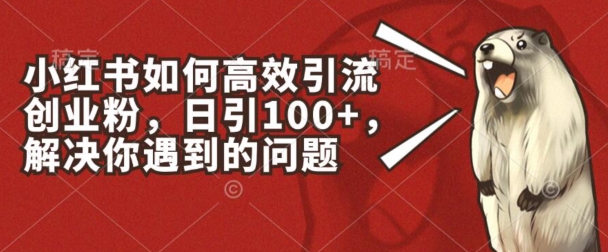 小红书如何高效引流创业粉，日引100+，解决你遇到的问题【揭秘】-88共享