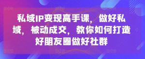 私域IP变现高手课,做好私域,被动成交,教你如何打造好朋友圈做好社群-88共享