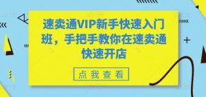 速卖通VIP新手快速入门班,手把手教你在速卖通快速开店-88共享