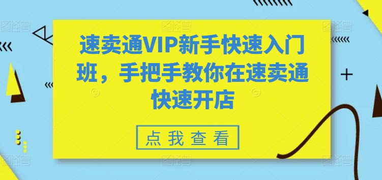 速卖通VIP新手快速入门班，手把手教你在速卖通快速开店-88共享