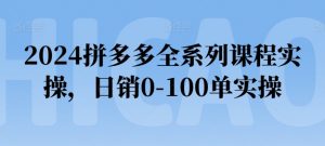2024拼多多全系列课程实操,日销0-100单实操【必看】-88共享