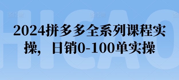 2024拼多多全系列课程实操，日销0-100单实操【必看】-88共享