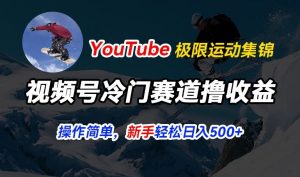 视频号冷门赛道撸收益，YouTube搬运极限运动集锦，暴力起号，操作简单流量高，轻松日入5张【揭秘】-88共享
