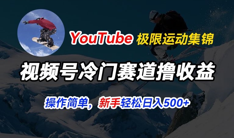 视频号冷门赛道撸收益，YouTube搬运极限运动集锦，暴力起号，操作简单流量高，轻松日入5张【揭秘】-88共享