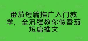番茄短篇推广入门教学,全流程教你做番茄短篇推文-88共享