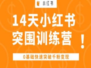 14天小红书突围训练营 ,0基础快速突破千粉变现-88共享