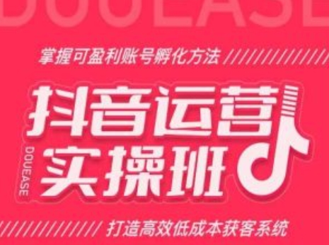 抖音运营实操班，掌握可盈利账号孵化方法，打造高效低成本获客系统-88共享