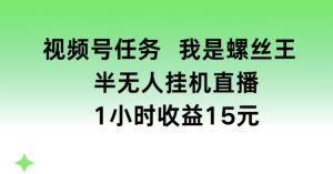 视频号任务,我是螺丝王, 半无人挂机1小时收益15元【揭秘】-88共享