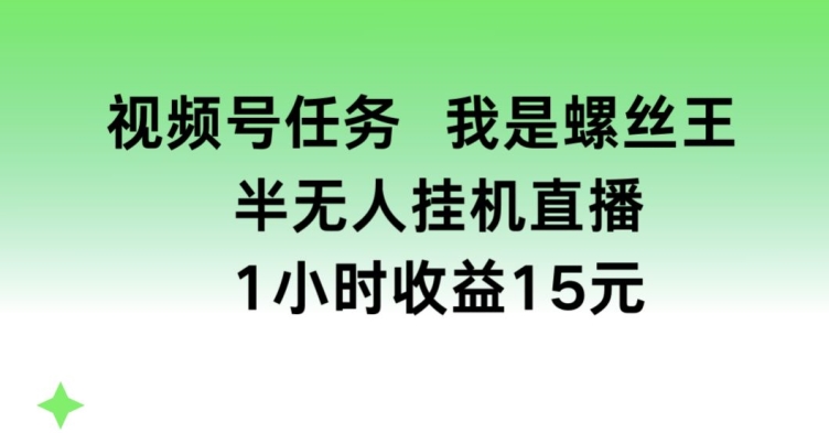 视频号任务，我是螺丝王， 半无人挂机1小时收益15元【揭秘】-88共享