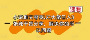 小说推文夸克UC大佬日入3张纯干货分享,解决你的所以问题-88共享