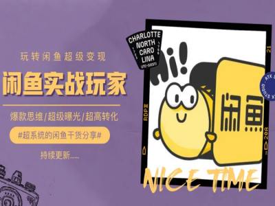 手把手教你0到1系统玩转闲鱼变现，爆款思维/超级曝光/超高转化-88共享