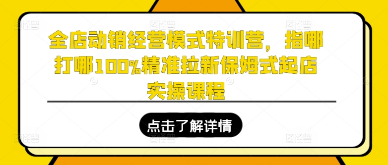 全店动销经营模式特训营，指哪打哪100%精准拉新保姆式起店实操课程-88共享