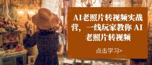 AI老照片转视频实战营,一线玩家教你AI老照片转视频-88共享