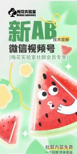 梅花实验室2024年AB技术视频号AB合成破解版-88共享