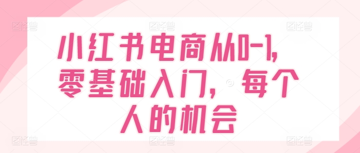 小红书电商从0-1，零基础入门，每个人的机会-88共享