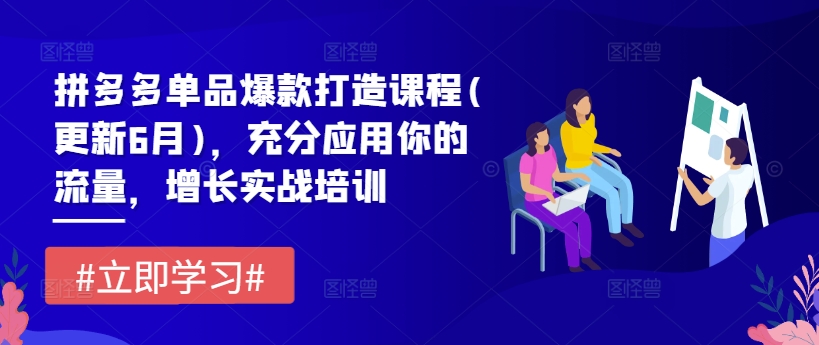 拼多多单品爆款打造课程(更新6月)，充分应用你的流量，增长实战培训-88共享