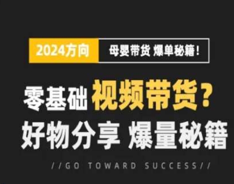 短视频母婴赛道实操流量训练营，零基础视频带货，好物分享，爆量秘籍-88共享