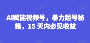 AI赋能视频号，暴力起号秘籍，15 天内必见收益【揭秘】-88共享