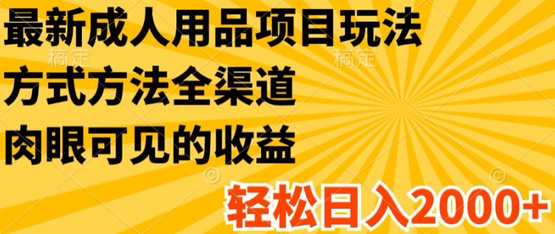 最新成人用品项目玩法，方式方法全渠道，轻松日入2K+【揭秘】-88共享