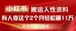 小红书搬运人性资料，有人靠这个2个月轻松赚11w，附教程【揭秘】-88共享