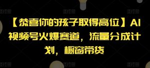 【恭喜你的孩子取得高位】AI视频号火爆赛道，流量分成计划，橱窗带货【揭秘】-88共享