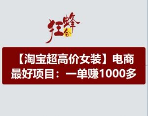 淘宝超高价女装项目，电商最好赛道，一单赚1000多-88共享