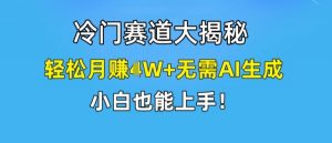 冷门赛道大揭秘,轻松月赚1W+无需AI生成,小白也能上手【揭秘】-88共享