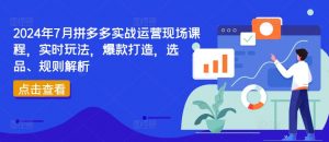 2024年7月拼多多实战运营现场课程,实时玩法,爆款打造,选品、规则解析-88共享