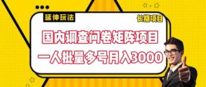 国内调查问卷矩阵项目,一人批量多号月入3000【揭秘】-88共享