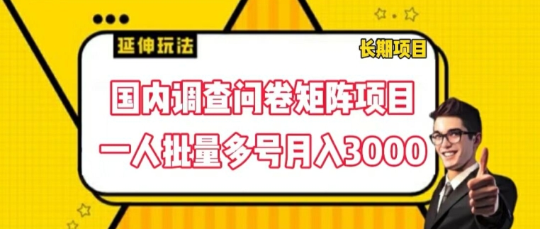国内调查问卷矩阵项目，一人批量多号月入3000【揭秘】-88共享