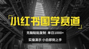 小红书国学赛道，无脑粘贴复制，单日1K，实操演示，小白即刻上手【揭秘】-88共享