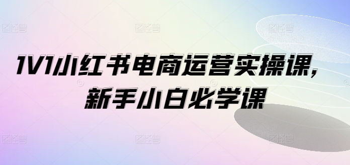 1V1小红书电商运营实操课，新手小白必学课-88共享