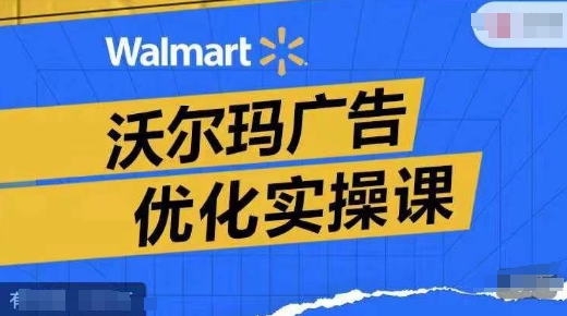 沃尔玛广告优化实操课，广告报告实操讲解，广告如何提高转化和ROAS等-88共享