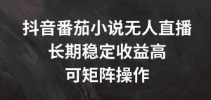 抖音番茄小说无人直播,长期稳定收益高,可矩阵操作【揭秘】-88共享