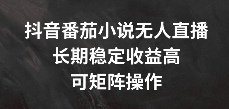 抖音番茄小说无人直播，长期稳定收益高，可矩阵操作【揭秘】-88共享
