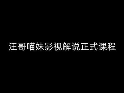 汪哥影视解说正式课程：剪映/PR教学/视解说剪辑5大黄金法则/全流程剪辑7把利器等等-88共享