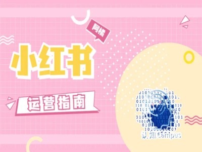 小红书运营指南，没有套路，全是经验-88共享