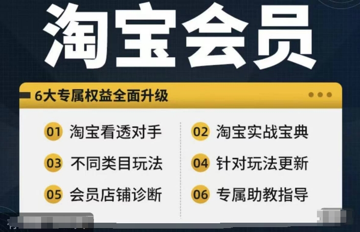 淘宝会员【淘宝所有课程，全面分析对手】，初级到高手全系实战宝典-88共享