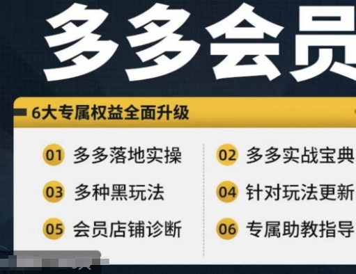 拼多多会员，拼多多实战宝典+实战落地实操，从新手到高阶内容全面覆盖-88共享