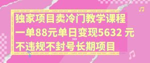 独家项目卖冷门教学课程一单88元单日变现5632元违规不封号长期项目【揭秘】-88共享