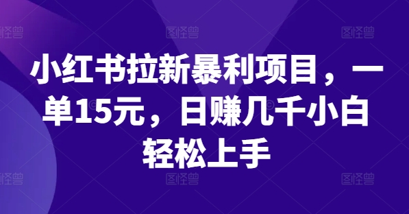 小红书拉新暴利项目，一单15元，日赚几千小白轻松上手【揭秘】-88共享