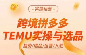 跨境拼多多TEMU实操与选品,多多temu跨境选品运营实操-88共享