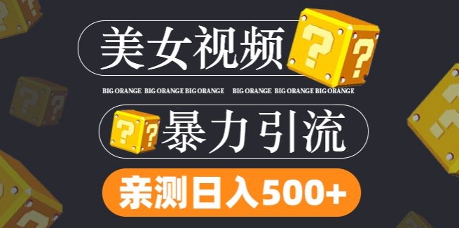 搬运tk美女视频全网分发，日引s粉300+，轻松变现，不限流量不封号【揭秘】-88共享