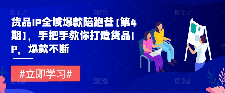 货品IP全域爆款陪跑营【第4期】，手把手教你打造货品IP，爆款不断-88共享