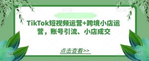 TikTok短视频运营+跨境小店运营,账号引流、小店成交-88共享