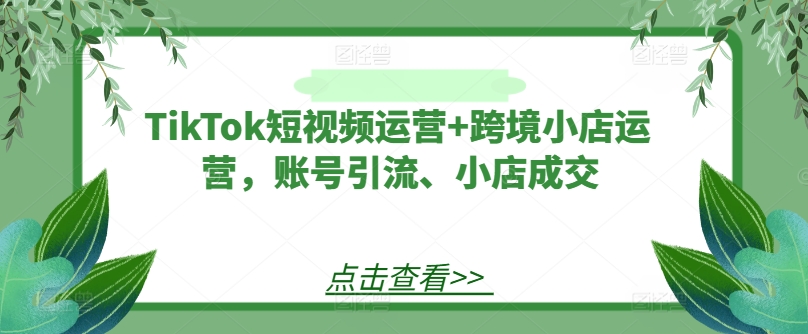 TikTok短视频运营+跨境小店运营，账号引流、小店成交-88共享