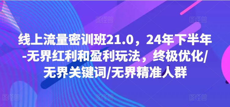 线上流量密训班21.0，24年下半年-无界红利和盈利玩法，终极优化/无界关键词/无界精准人群-88共享