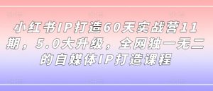 小红书IP打造60天实战营11期,5.0大升级,全网独一无二的自媒体IP打造课程-88共享