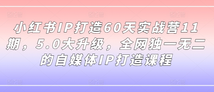 小红书IP打造60天实战营11期，5.0大升级，全网独一无二的自媒体IP打造课程-88共享