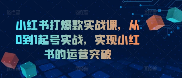 小红书打爆款实战课，从0到1起号实战，实现小红书的运营突破-88共享
